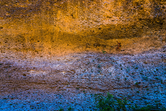 _DSC0862